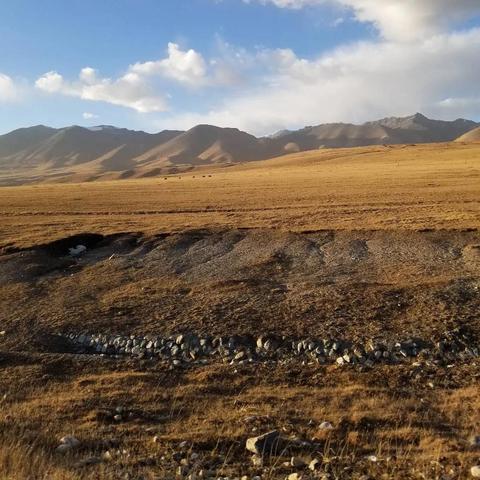 旅游车上如何赚钱，实用建议与案例分析