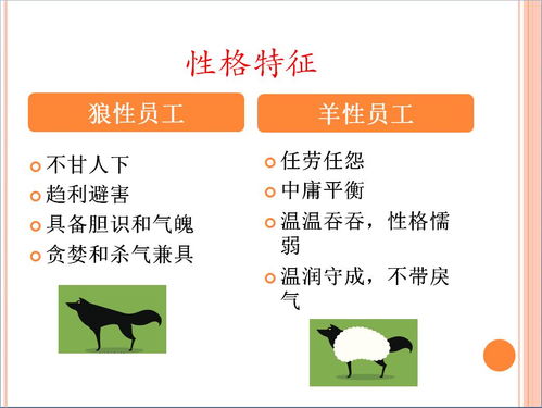 羊小咩便荔卡套出来商家能用吗？揭秘一卡多用的便捷与风险
