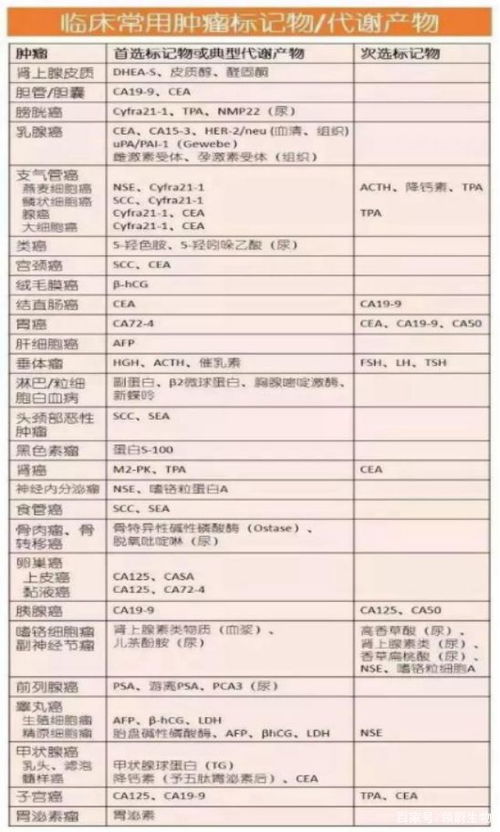加盟米素怎么样？深度解析带你了解真实情况