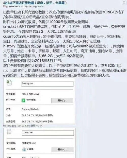宾馆开房信息查询全攻略，注意事项、技巧与案例分析