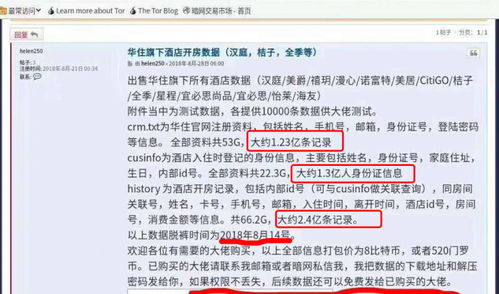 宾馆开房信息查询全攻略，注意事项、技巧与案例分析