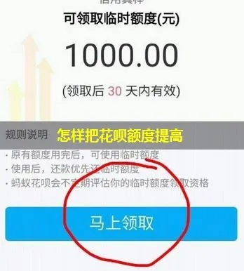 花呗额度提现，花呗额度多大？揭秘你的花呗财富实力！