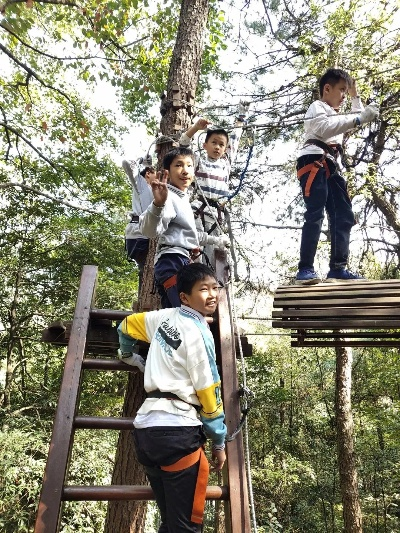 儿童户外拓展活动—让孩子在探索中成长