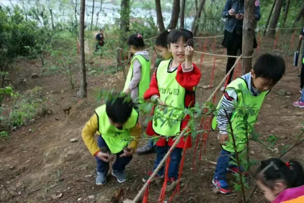 儿童户外拓展活动—让孩子在探索中成长