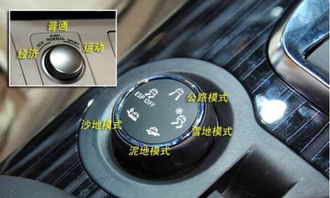 母婴车选购指南，安全、舒适与功能全面解析