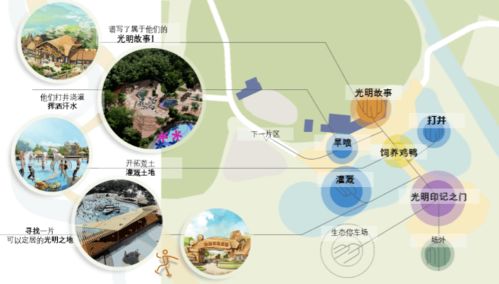 农村田园农场创业项目全解析，从理论到实践的指南