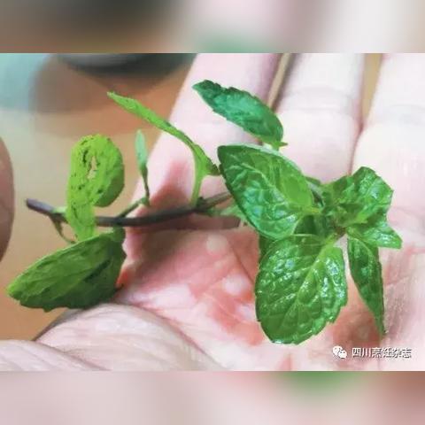 前几年做什么小吃致富，小吃行业的黄金时代与成功案例解析