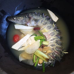 如何加盟草帽石锅鱼？从零开始，手把手教你走上创业之路