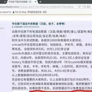 揭秘查开房网，真相、风险与应对之道