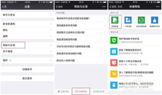 如何找回不小心删除的聊天记录，实用指南与案例分析