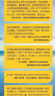 为什么现在难以致富？深度解析与案例分享
