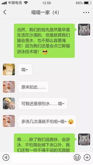 揭秘聊天记录的秘密，如何安全地偷看而不被发现？
