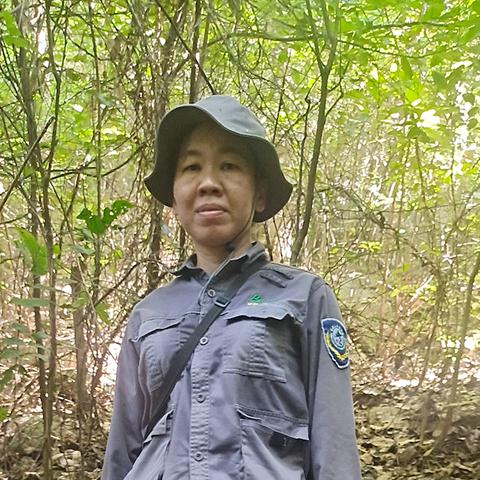 海南林地致富创业项目全解析