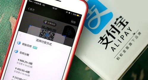 揭秘北京大兴白条套现，操作流程、风险与案例分享