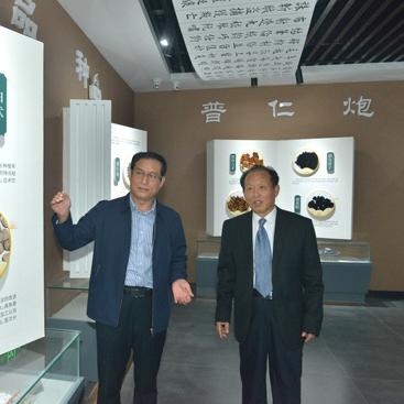 探索与传承—民族医药品牌的故事