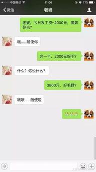 揭秘微信聊天记录的秘密，怎样才能查看到别人微信聊天记录？