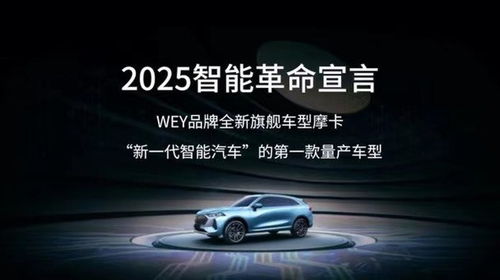 探索未来出行，Wey汽车品牌的故事