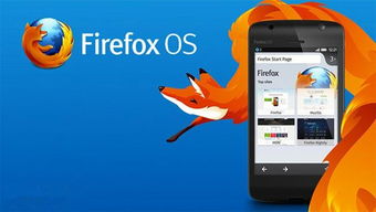探索日本户外品牌Foxfire的多样化产品线
