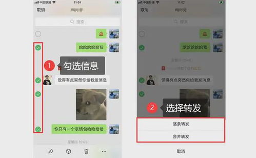 微信聊天记录丢失？别慌！教你轻松找回聊天记录的秘籍