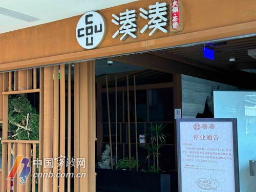 韶关武江区餐饮品牌店概览