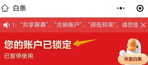 轻松提现，个人京东白条使用指南