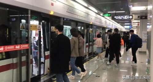 羊小咩便荔卡套出来商家安全吗？揭秘支付安全那些事儿