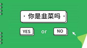 羊小咩便荔卡套出来商家安全吗？揭秘支付安全那些事儿