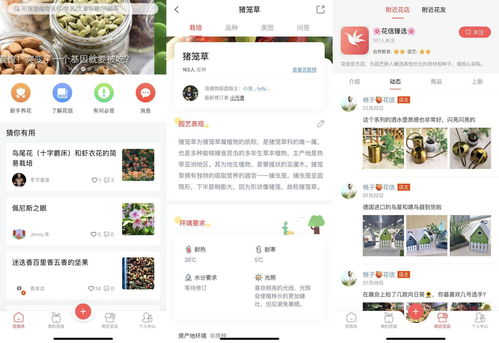 揭秘羊小咩便荔卡套出来商家QQ群，一场社交电商的狂欢？