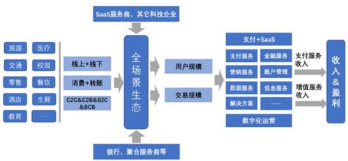 户外品牌T-SPORTS的多元化发展与市场策略