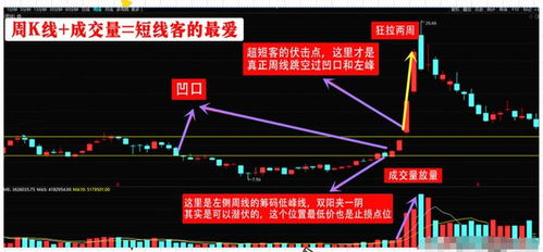 炒股靠什么发家致富？实战经验与案例分析