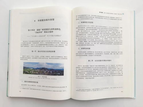 成功致富的秘诀，从理论到实践的全方位解读