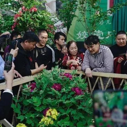 村民们做什么生意赚钱最快？一探便知！