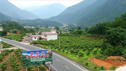 梅州品牌家居城的崛起之路
