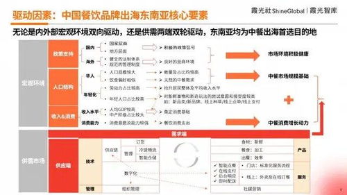 宝安餐饮品牌咨询定制服务概览