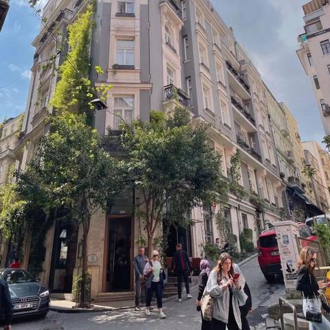 酒店记录查询详解，步骤、方法与注意事项
