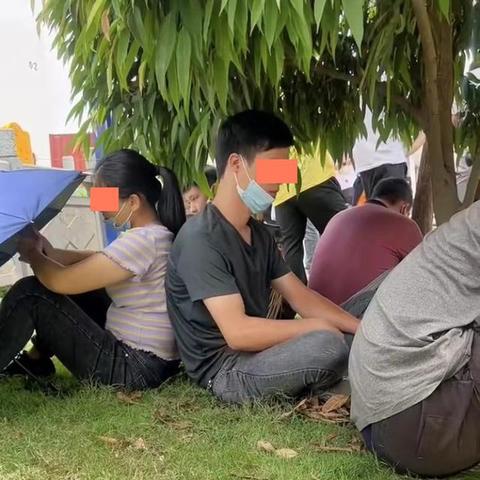 在手机做什么工作赚钱多？全面解析与实例探究
