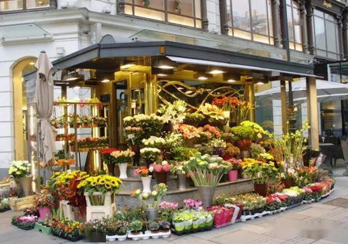 花店日常运营秘籍，哪些活动最能吸引客流与收益