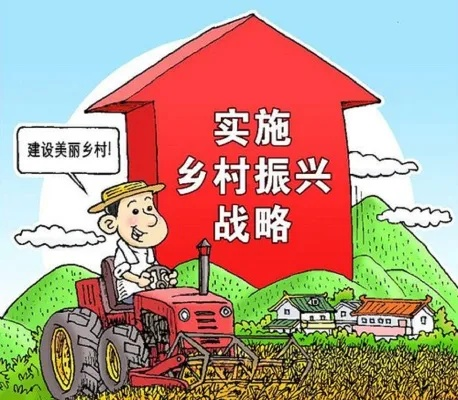 有什么使农民致富？探索农村振兴的多元路径