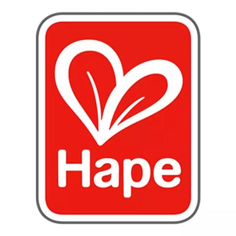 母婴品牌hape的全面解析