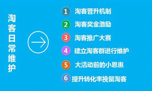 湛江网站推广赚钱攻略，策略与实践案例
