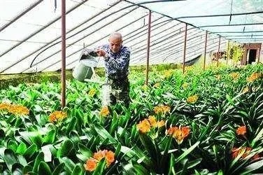 有什么发财致富项目？看我一一揭秘！