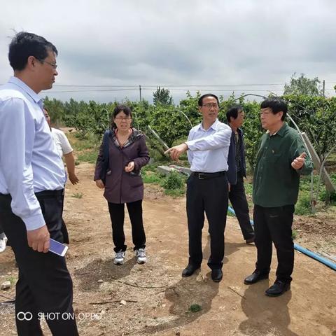 财务自由致富项目全解析，实现财富增长的路径与案例探讨