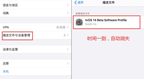支付宝提现额度失效不用慌，看我一招解决！