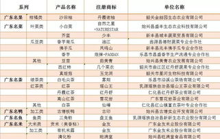 广东品牌装修资费标准概览