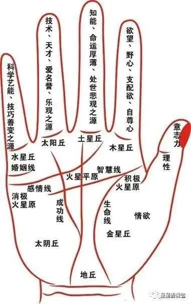 什么手相容易起家致富？解读手相奥秘，一起探寻财富之路