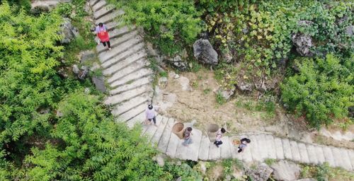 揭秘致富之道，财富增长的关键要素与成功案例解析