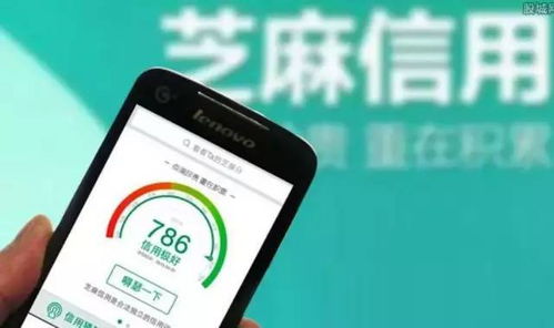 轻松搞懂个人花呗提现攻略，告别资金周转难题！
