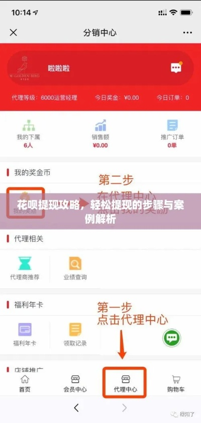 个人花呗怎么提现到账？详细攻略+案例解析