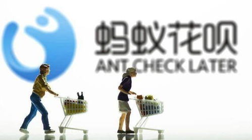 轻松搞懂个人花呗提现攻略，告别资金周转难题！