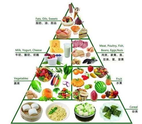 圣农旗下餐饮品牌—健康美味，绿色生活